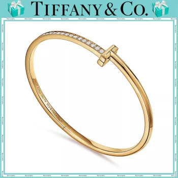 【国内発送/直営店】T ワン ナロー ダイヤモンド ヒンジ バングル